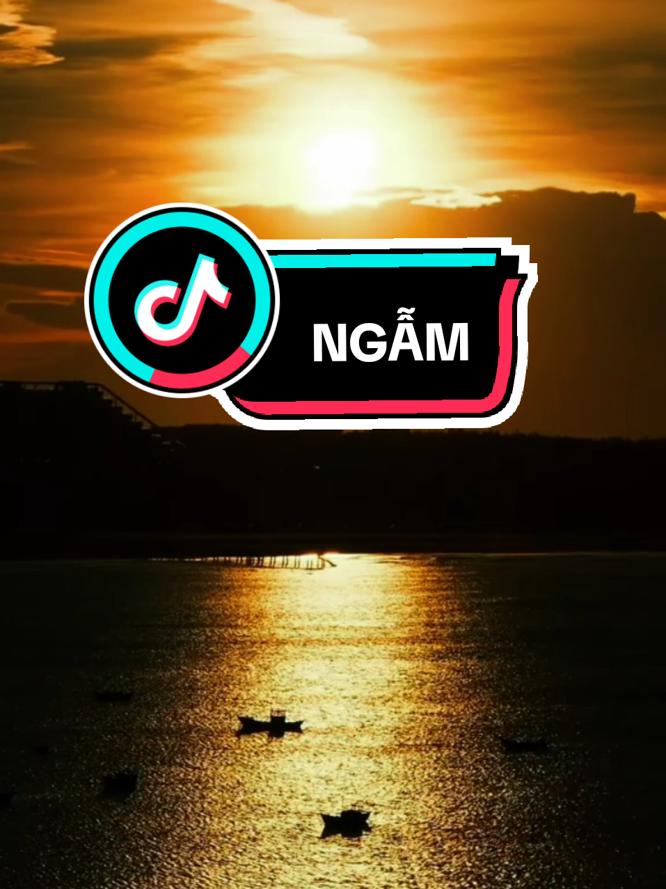 CHÓ NÓ KHÔNG GIỎI BIỆN MINH, NÓ LÀM SAI THÌ NÓ CỤP TAI....#ngẫm #nhacbuon #nhac8x9x 