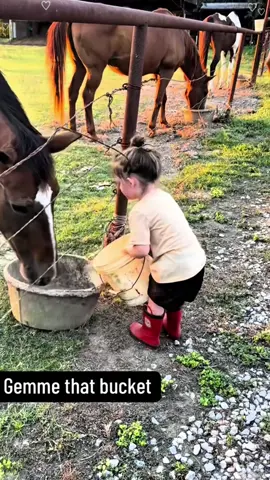 Funny moments with kids and animals #happy #funny #fyppppppppppppppppppppppp #cute #tiktok 