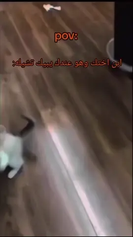 #ضحك😂 #مالي_خلق_احط_هاشتاقات #اكسبلور #الوطن_العربي_تيك_توك #جيش_القط_🐈 