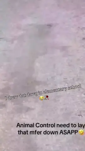 yoo 🤣🤣 #fyp #fypシ #fypシ゚viral 