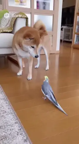 まって凄くない？ww😂😂😂
