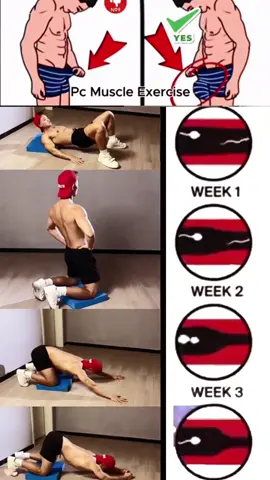 #exercise #exercisetips #Fitness #fitnesstip #workout #homeworkout #sport #workouttip #fit #healthy #man #muscle #tiktok #fyp 