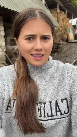 Dimineața și satul plin de show 🥳😍#satulmeu #cristinadurnea592 #for #fyp #foryoupage 