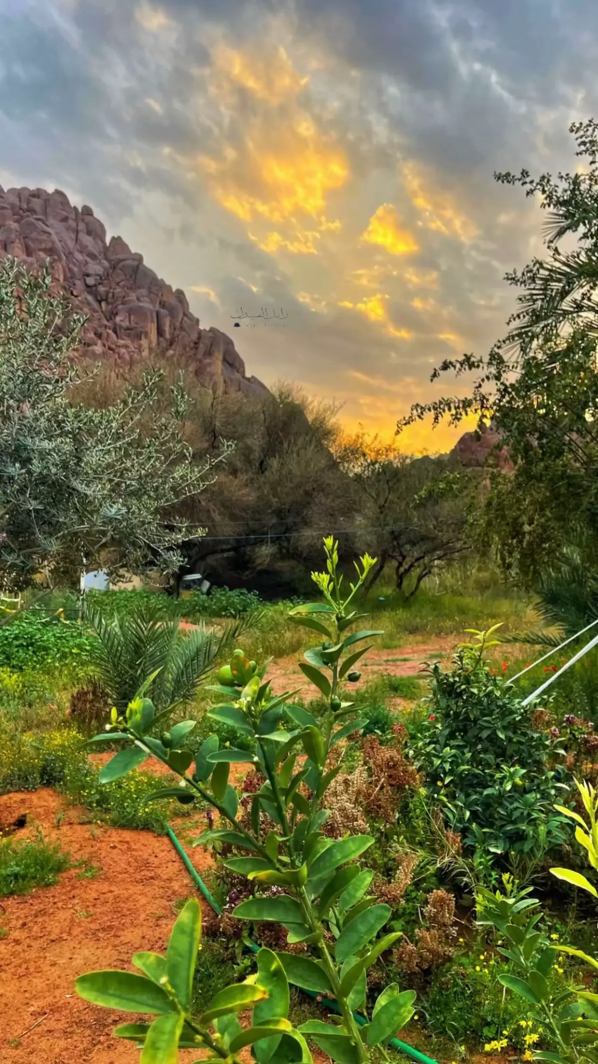 #حايلندا_اكسبلور🧡🧡 #حائل_تيك_توك_حايلنا #تصويري_سنابي_يومياتي🦌📷 #