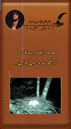 PART 168 I  #views #problem #📝🥺🥀  جب جانور ایک دوسرے کا احساس کر سکتے ہیں تو انسان کیوں نہیں  #plzzunfrezzmyaccount #viraltiktok 