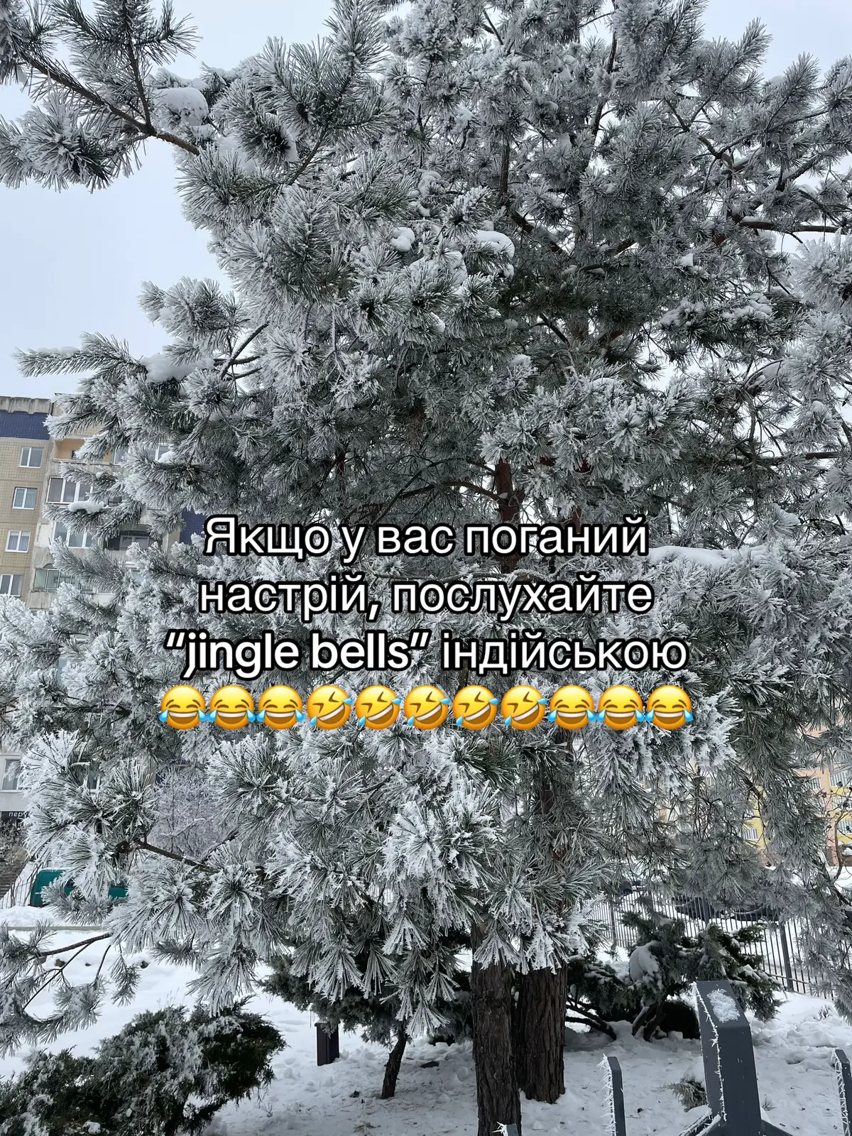 #jinglebels
