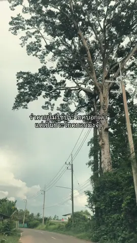 #พูดไปงั้นแหละ #คำคมสายกวน #ฟีดดดシ #fyp 