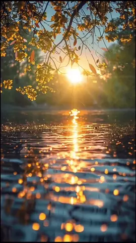 @𝚍𝚎𝚌𝚎𝚖𝚋𝚎𝚛💫 