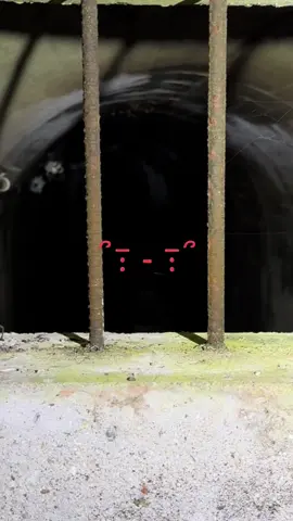 よく聞いたら足音してる？#心霊 #心霊配信 