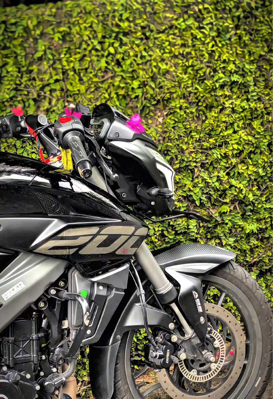 🥺❤️‍🩹  #foryou #hkvideography #viral #fyp #tranding  @⦁𝘿𝙐𝙇𝘼👽🪐☘️ 