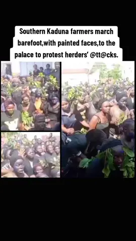 #creatorsearchinsights Southern Kaduna farmers march barefoot,with painted faces,to the palace to protest herders’ @ttacks. #southernkaduna #farmersprotest #juicyblog247 #tiktokviral 