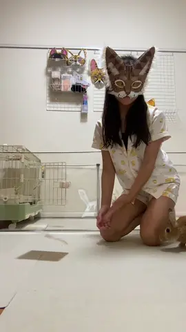 わいのペットやで