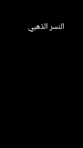 #كرتون_قديم #ذكريات #سبيستون_قناة_شباب_المستقبل 