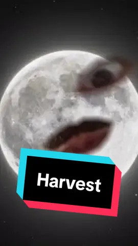 Me vs the moon with surprise guest