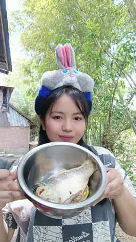 ikan emas