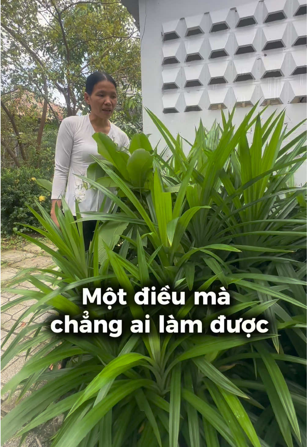 Một điều mà chẳng ai làm được mà má tui mới làm được #phuongbentre 