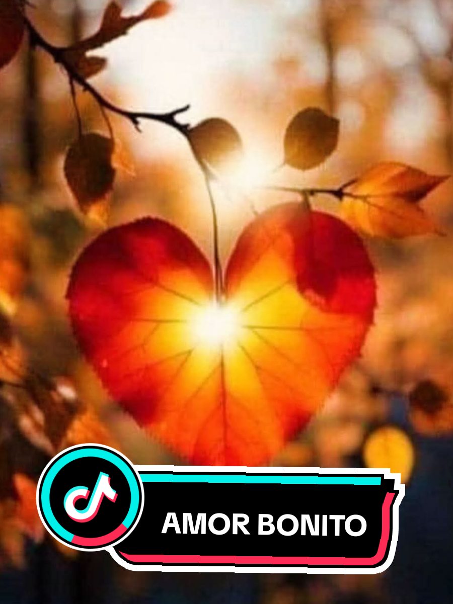 Yo quiero un amor bonito, donde los dos salgamos juntos, un amor sincero con un te amo. lleno de hechos y momentos bonitos. #CapCutAmor #CapCut  #amor #amorbonito #teamo #momentos #tequiero #corazon #bonito #reflexiones #reflexionesymas2 