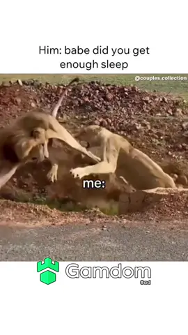 #fyp #viral #trending #funny #animals 