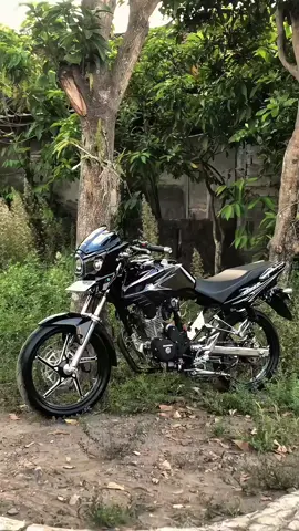 🎧🎧#tigermodif #fyppppppppppppppppppppppp #tigerindonesia #fyp #tigernarrto 