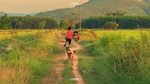 🌅🌾 Người ta thường tìm bình yên ở tận chân trời, mà quên rằng nó hay đi ngang qua từng vạt lúa chín, từng cánh cò bay lả,  từng giọt mồ hôi, từng nụ cười hiền lành, từng hình bóng thân quen nơi đầu ngõ. Có những chiều, bình yên đến như một phép màu, làm cho nỗi buồn không còn sắc nhọn nữa. Bình yên, rốt cuộc, chẳng phải thứ ta nắm giữ, mà là bóng dáng đi ngang làm lòng ta thôi giông gió.🌅