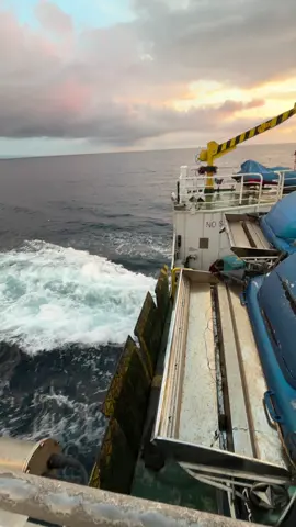 Chill lang #seaman #maritime 