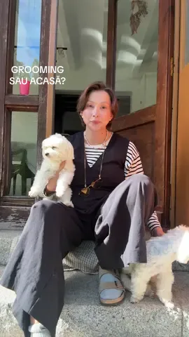 Voi frezați cățelușii la salon sau acasă? Eu văd doar unicul minus până ce este părul care trebuie strâns, voi? #grooming #bishon #dog 
