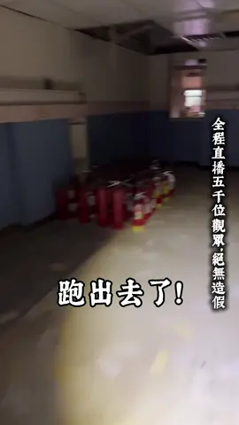 有沒有跟到昨天這一場？直播遇到小偷，對方身分好像不正常…. #探險 #小偷 #出事 