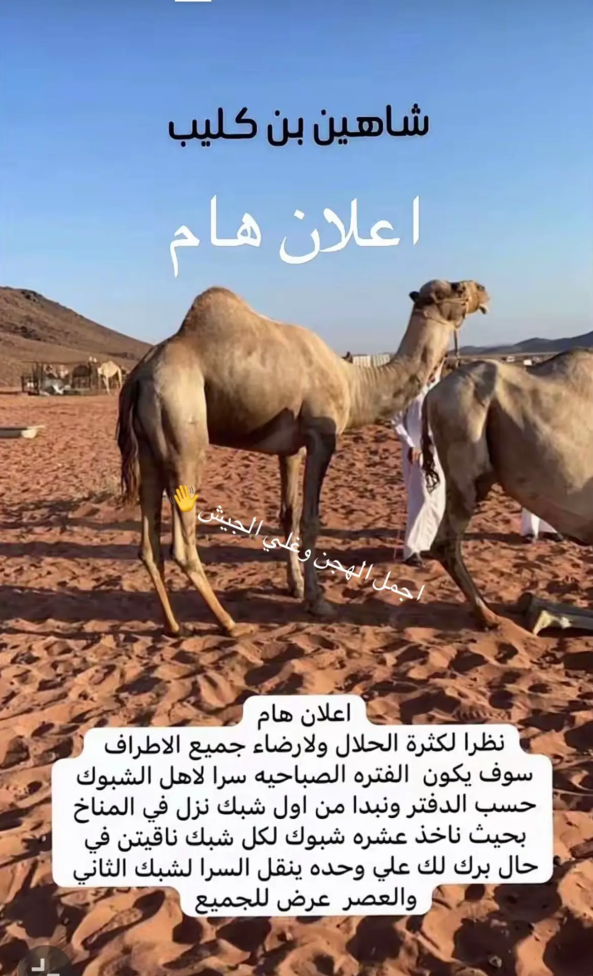 #شاهين بن كليب
