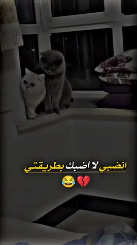 #اعادت_نشر🔁 #تصميم_فيديوهات🎶🎤🎬 #حرامات_بعد_ذاك_التعب_كله💔💔؟ 