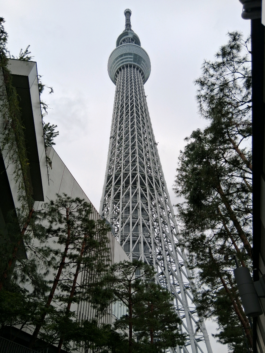 Tokyo Skytree is the tallest building in Japan at 634 meters high. You could spend HOURS here because there are so many shops, cafes and eateries in Solomachi Sky Tree. So if you like to eat and shop (there's a Kirby Cafe, Sanrio Store, etc), make sure to set aside MORE than 2 hours. I'd say maybe 4. #Japan #ThingsToDoInJapan #Tokyo #TokyoSkyTree #Asakusa 