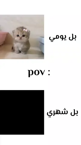 منو مثلي ؟                                                      #المدرسه #atrzzatr  #السادس #انشتاين #atrzzatr 