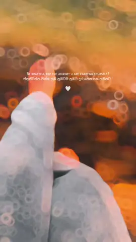 Be grateful for the journey u are carrying yourself ! ස්තූතිවන්ත වන්න නුඹ නුඹටම නුඹව දරාගෙන යන ගමනට ! 🤍 . . . . #CapCut #thought #facts #onemillionaudition #fypviralシ 