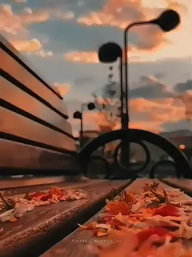 Aja Mera Dil Nyo Lgda ❤️‍🩹!  #explore #goviral #viralvideo #bismilarfat17 #fyp 
