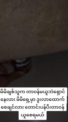 #VoiceEffects #ရှမ်းဆရာမနွယ် 