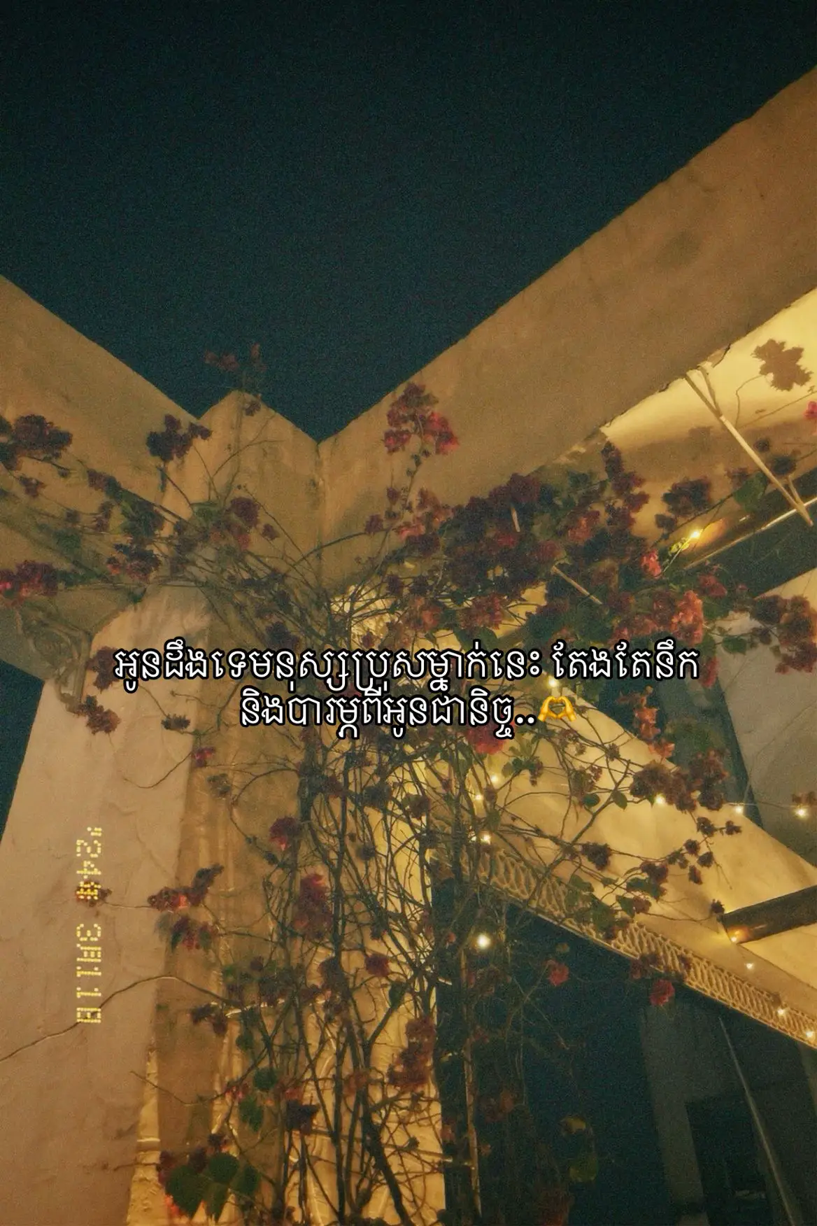 ដឹងទេមនុស្សល្អរបស់បង🫶🩷#missyou #mylove #foryoupage💕 #fyp 