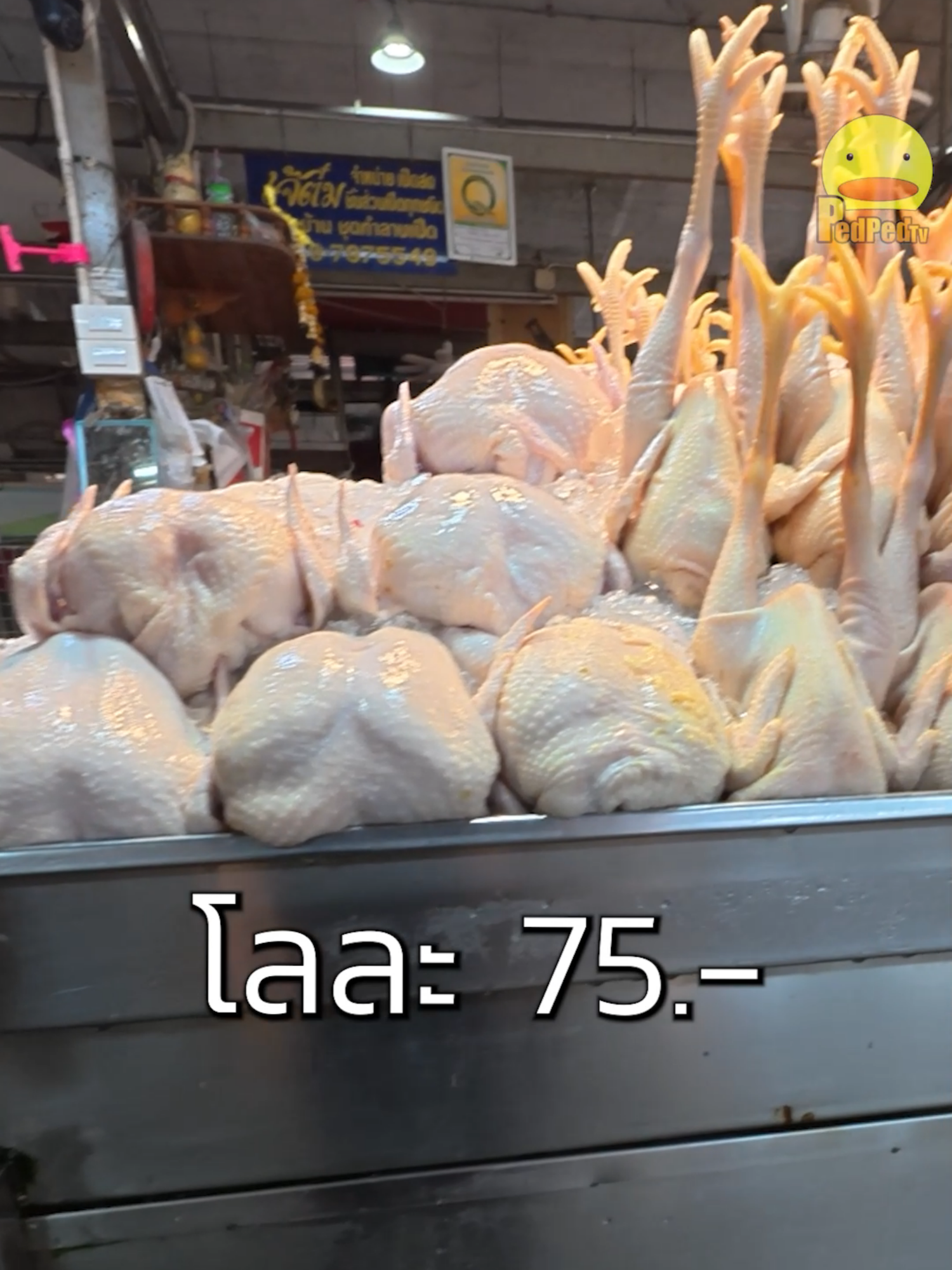 สรุปตอนนั้นเช็คราคาเก่ามาค้าบ🐔🍗 #ไก่ทั้งตัว #ไก่ #ราคา #pedpedtv