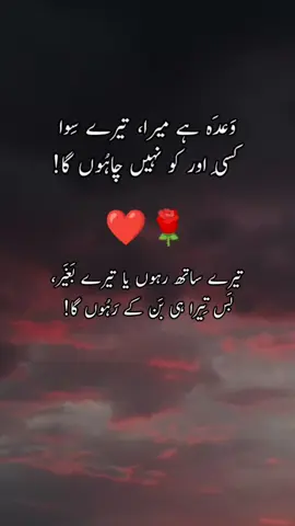 #creatorsearchinsights  sad poetry deep line and  sad poetry رے الفاظ or sad poetry sound &  sad poetry in deep lines and  sad poetry sound شاعری and sad poetry sound full sad poetry song background sad poetry urdu sad poetry mood off sad poetry sound punjabi  #sadnesspoetry1  #urdusadpoetry🥺🥀 #sadboy #btoken_heart 
