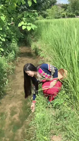 #တအာင်းမလေး🌾#fyppppppppppppppppppppppp #