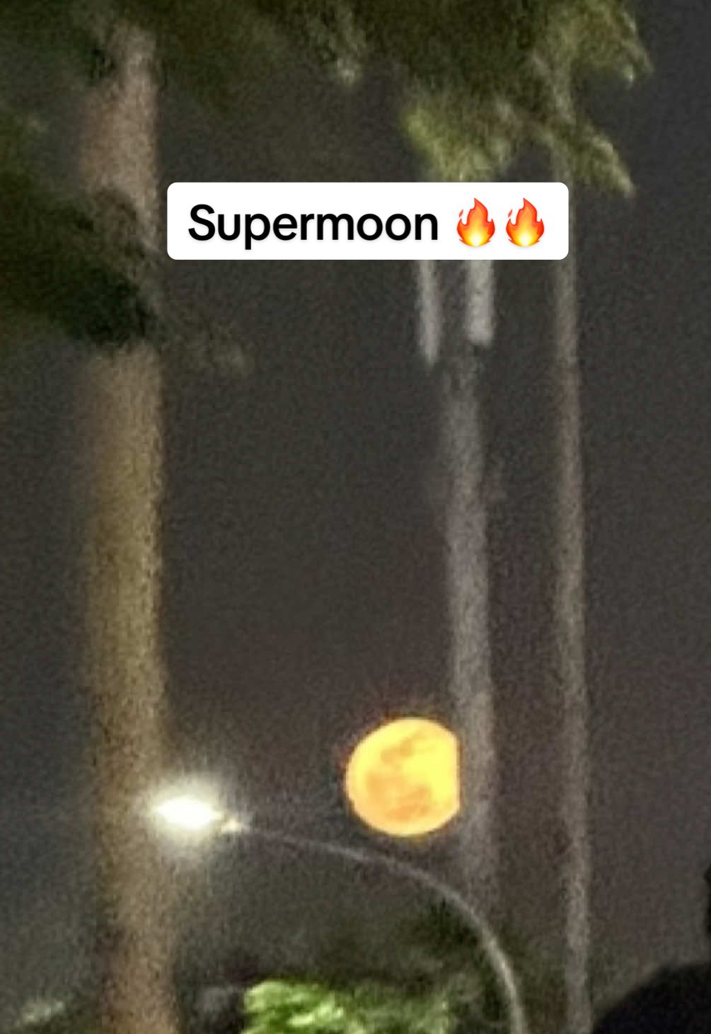 Fenomena supermoon 7 oktober 2025 #fyppppppppppppppppppppppp #viraltiktok #supermoon #harvestmoon #fyp 