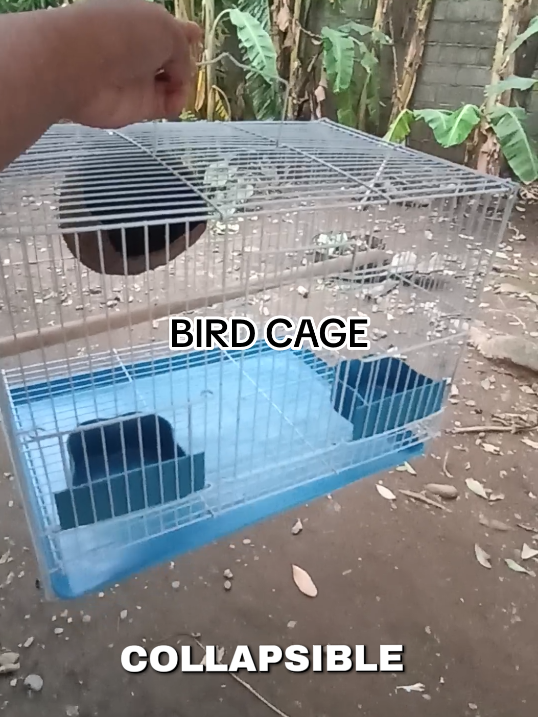 compact, foldable, may built-in feeder. Perfect para sa mga budgie, lovebirds, o kahit sa tropa mong “tweetie.” Available sa Blue, Pink, at White. #BudolFindsPH  #PetTropaDeals  #BirdCageSale  #AddToCartNaBilis 