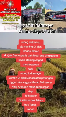 Pilang payung -Bongas panen#fyp 