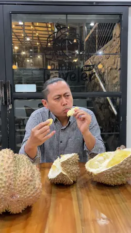 Pucat Tampilan Loyo Tampolan