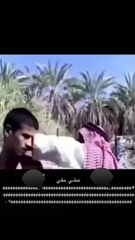 #اشهدو يامسلمين #هههههههههههههههههههههههههههههههههههههه #بطنيييييييي😂😂😂