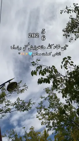 🤍🫶🏻 