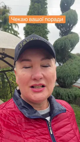 Чекаю вашу оцінку цих троянд#мійсад #троянди🌹 