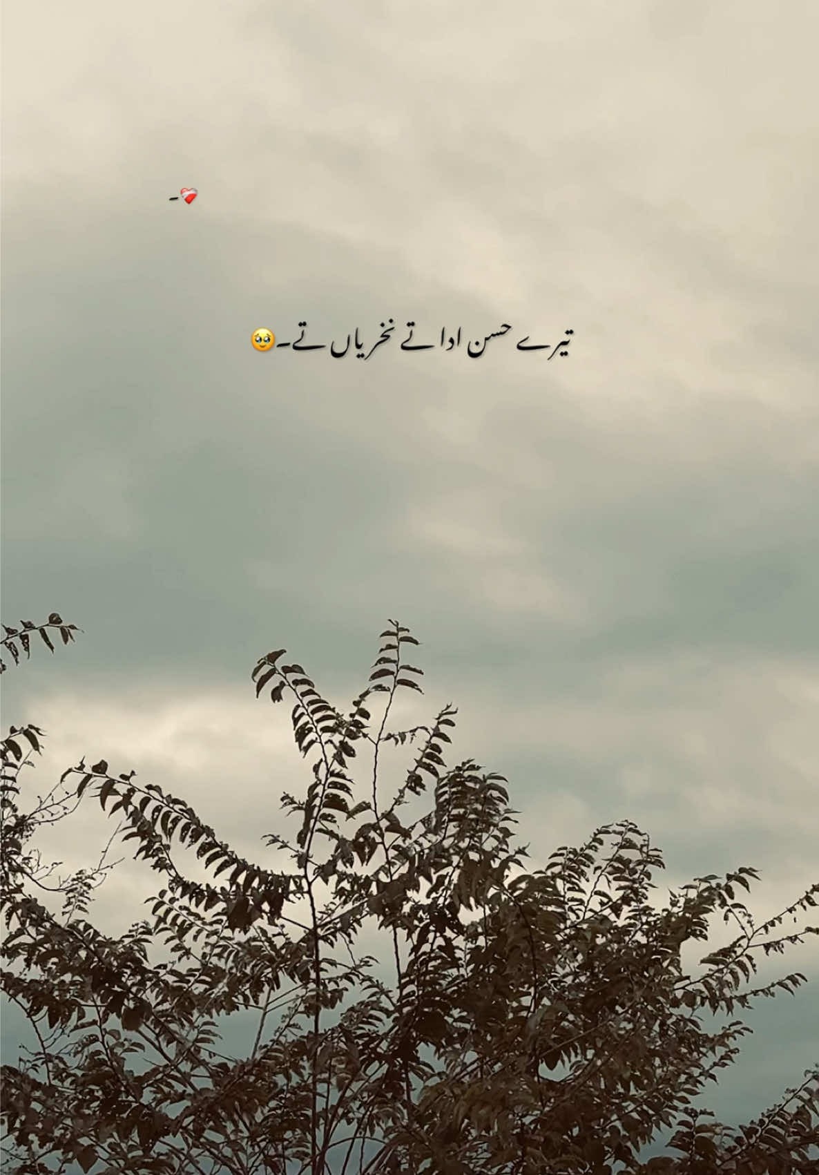 تیرے حسن ادا تے نخریاں تے۔🥹#foryoupage #fyp #poetry #tiktokviralvideo #asthetic 