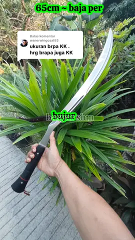 Membalas @wanerwingozal85 #madura #clurit #cluritmadura #cluritbuluayam #bujur 