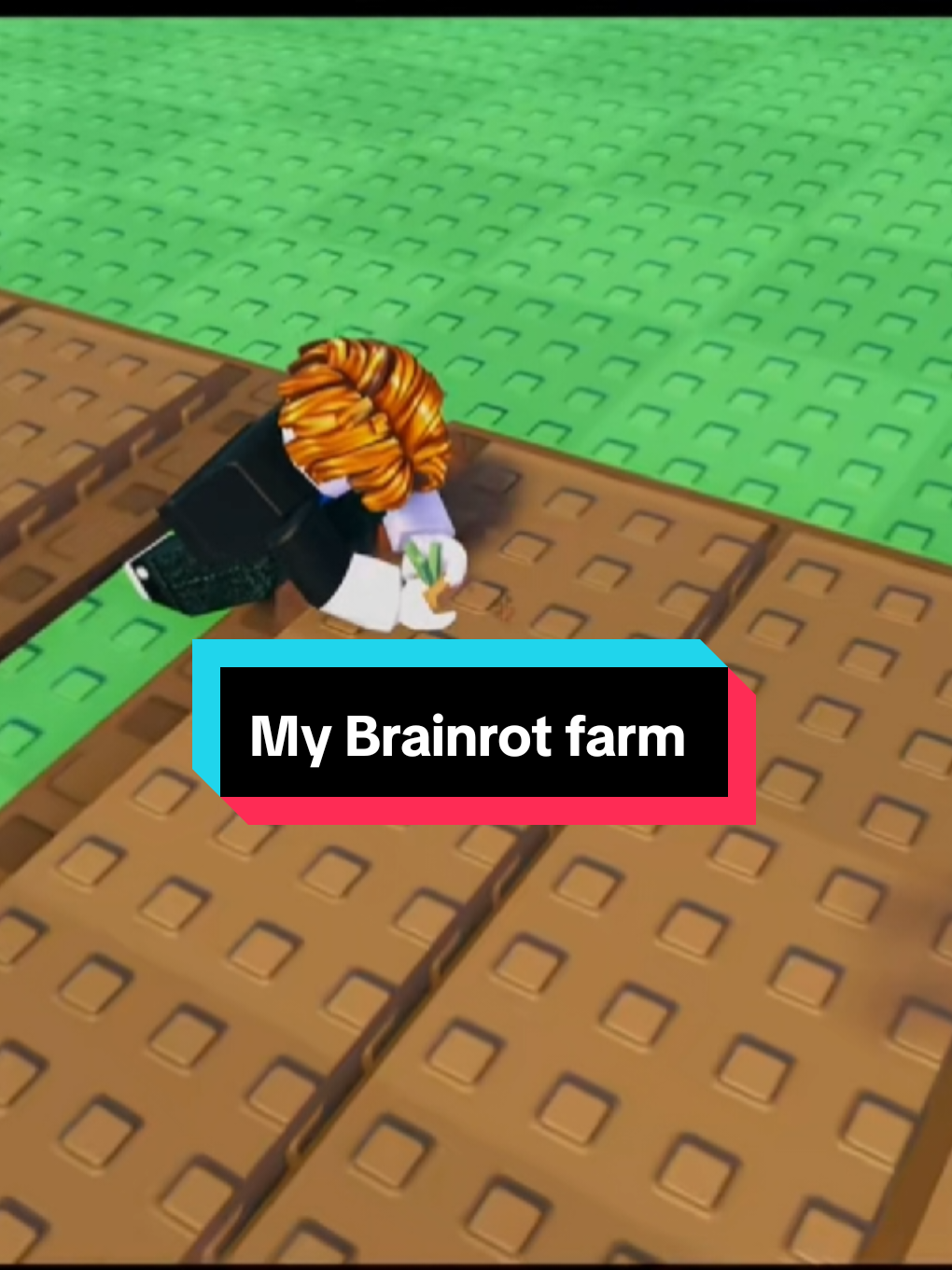 Link discord trong bình luận nha#mybrainrotfarm #robloxgames #growagarden #xuhuong #fyp 