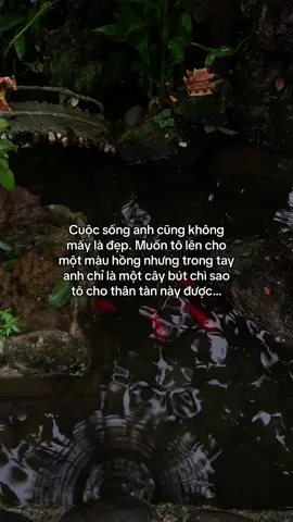 …#tamtrang #story 