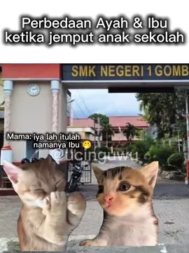 Ayah vs. Ibu ketika jemput anak pulang sekolah#memetiktok #memelucu #memekucing #memeindonesia #sekolah 